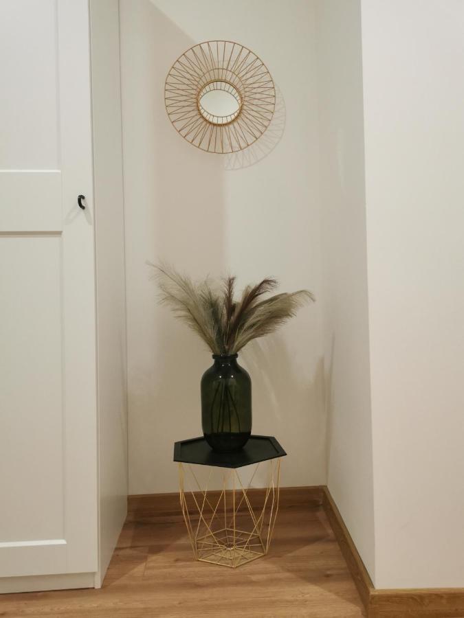 Atlas Apartment In The Historical Center Of Kosice With Free Private Parking 外观 照片